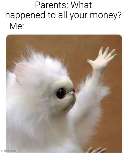 Idk | Parents: What happened to all your money? Me: | image tagged in funny,memes,money | made w/ Imgflip meme maker
