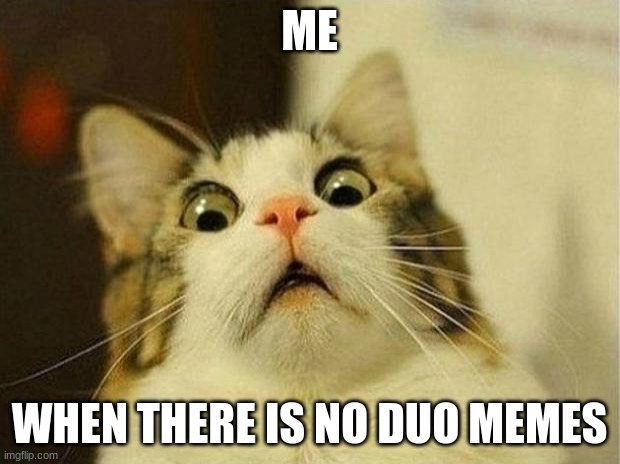 Scared Cat | ME; WHEN THERE IS NO DUO MEMES | image tagged in memes,scared cat | made w/ Imgflip meme maker