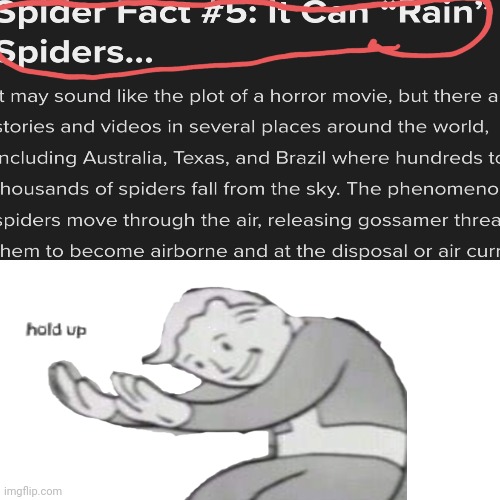 Just found this while scrolling through the internet | image tagged in memes,meme,funny,funny memes,funny meme,spider | made w/ Imgflip meme maker