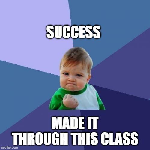 Success Kid | SUCCESS; MADE IT THROUGH THIS CLASS | image tagged in memes,success kid | made w/ Imgflip meme maker