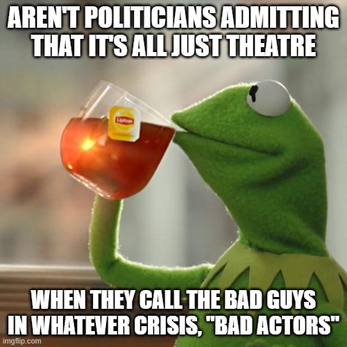 But That's None Of My Business Meme | AREN'T POLITICIANS ADMITTING THAT IT'S ALL JUST THEATRE; WHEN THEY CALL THE BAD GUYS IN WHATEVER CRISIS, "BAD ACTORS" | image tagged in memes,but that's none of my business,kermit the frog | made w/ Imgflip meme maker