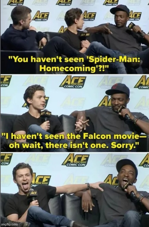 Coming Soon, I Guess? | image tagged in falcon,spiderman | made w/ Imgflip meme maker