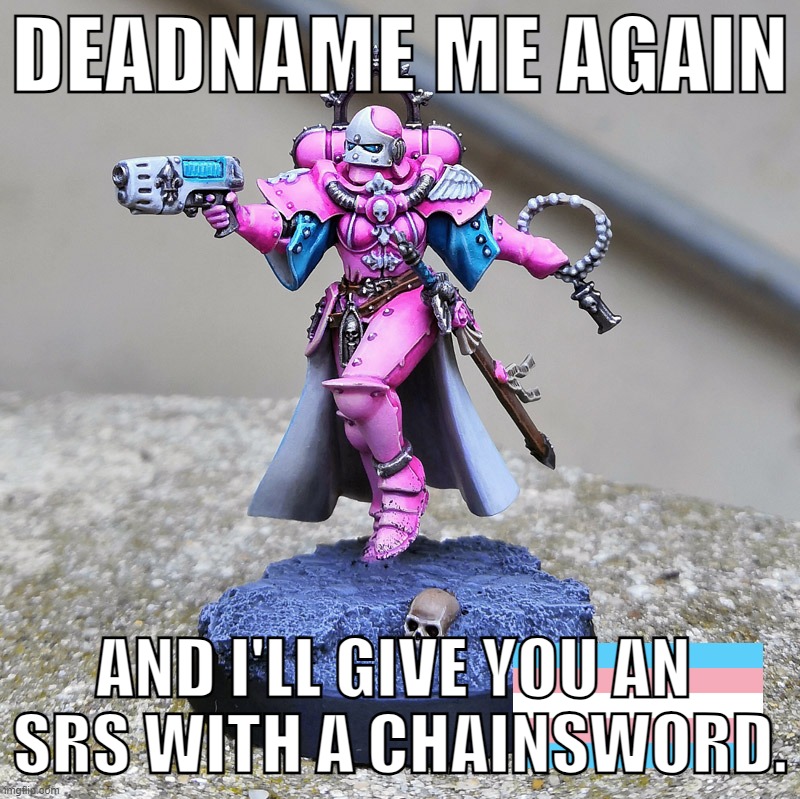 Trans Sister of Battle! | DEADNAME ME AGAIN; AND I'LL GIVE YOU AN 
SRS WITH A CHAINSWORD. | image tagged in warhammer 40000,adepta sororitas | made w/ Imgflip meme maker