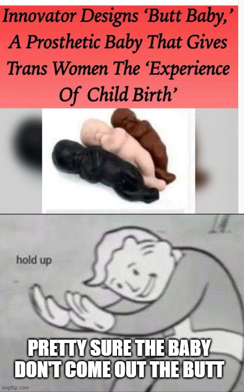 yea.. yea... nah....  yea. | PRETTY SURE THE BABY DON'T COME OUT THE BUTT | image tagged in fallout hold up,stupid liberals,funny memes,wtf,political humor,political meme | made w/ Imgflip meme maker