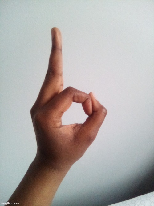 A hand pose sign reveal of mine | image tagged in hands,hand,pose,hand reveal,tifflamemez,sign | made w/ Imgflip meme maker