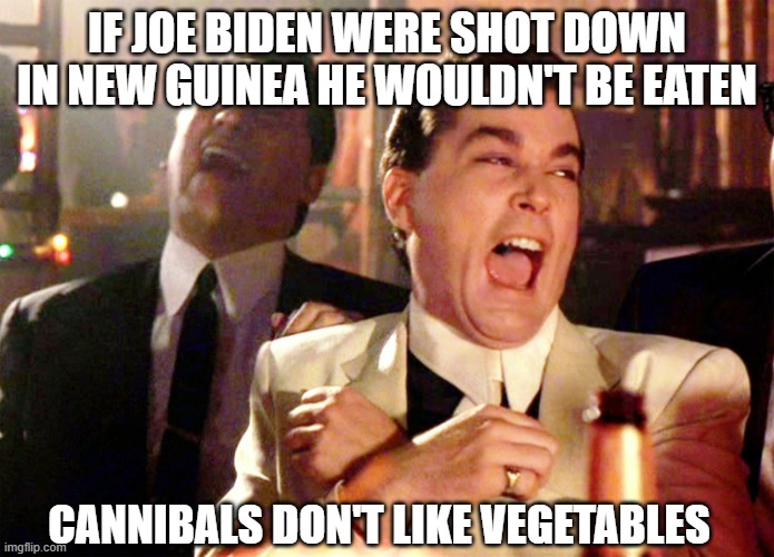 IF JOE BIDEN WERE SHOT DOWN IN NEW GUINEA HE WOULDN'T BE EATEN CANNIBALS DON'T LIKE VEGETABLES | image tagged in memes,good fellas hilarious | made w/ Imgflip meme maker