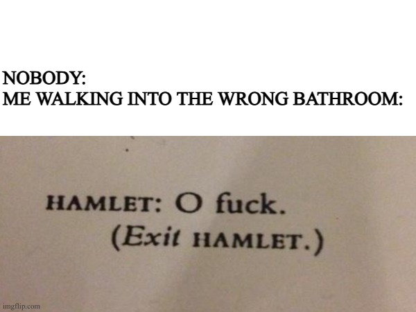 When you walk into the forbidden bathroom of the opposite gender | NOBODY:
ME WALKING INTO THE WRONG BATHROOM: | image tagged in bathroom,hamlet,oh wow are you actually reading these tags,tag | made w/ Imgflip meme maker