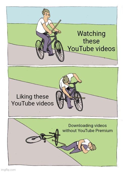 YouTube slang?? | Watching these YouTube videos; Liking these YouTube videos; Downloading videos without YouTube Premium | image tagged in memes,bike fall | made w/ Imgflip meme maker