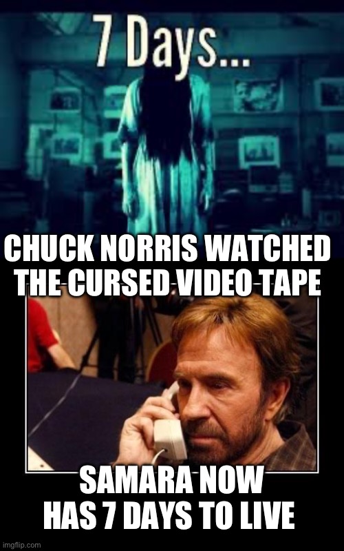 CHUCK NORRIS WATCHED THE CURSED VIDEO TAPE; SAMARA NOW HAS 7 DAYS TO LIVE | image tagged in chuck norris telemarketing | made w/ Imgflip meme maker