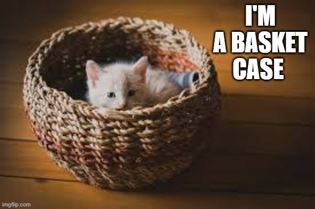 memes by Brad - my cat is a basket case | I'M A BASKET CASE | image tagged in funny,fun,cat meme,cute kitten,humor | made w/ Imgflip meme maker