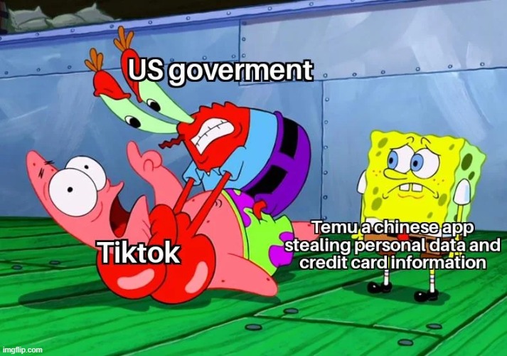 Dont forget the other spyware | image tagged in memes,funny,tiktok,us government,lol | made w/ Imgflip meme maker
