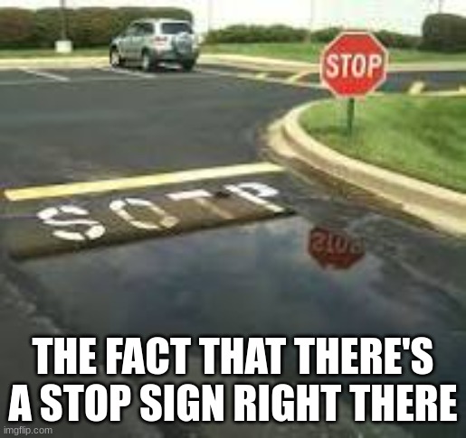 THE FACT THAT THERE'S A STOP SIGN RIGHT THERE | image tagged in funny meme | made w/ Imgflip meme maker