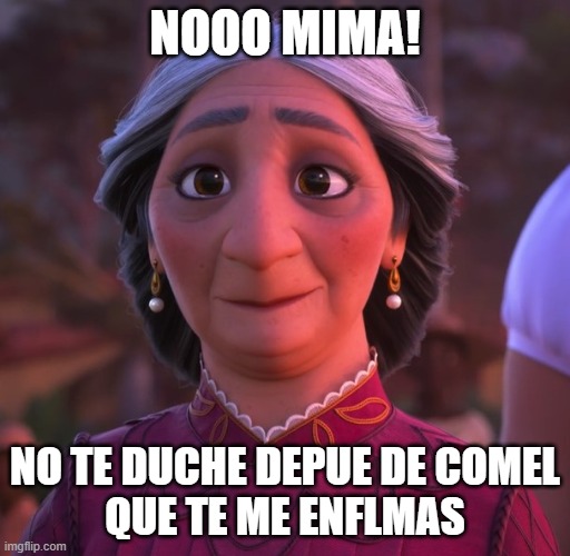 Abuela Alma | NOOO MIMA! NO TE DUCHE DEPUE DE COMEL
QUE TE ME ENFLMAS | image tagged in abuela alma | made w/ Imgflip meme maker