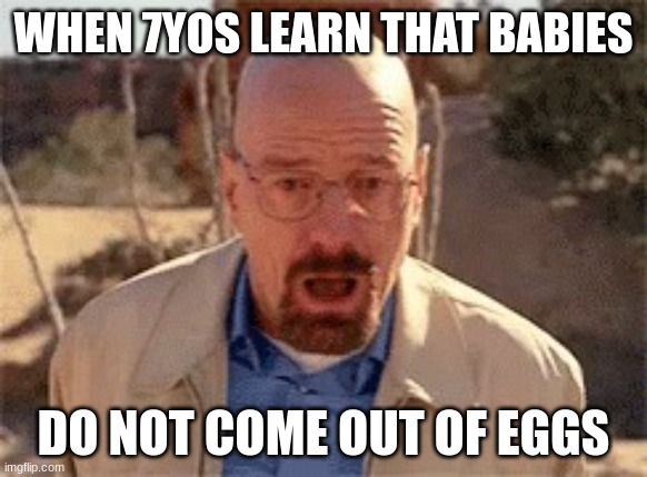 Walter White | WHEN 7YOS LEARN THAT BABIES; DO NOT COME OUT OF EGGS | image tagged in walter white | made w/ Imgflip meme maker
