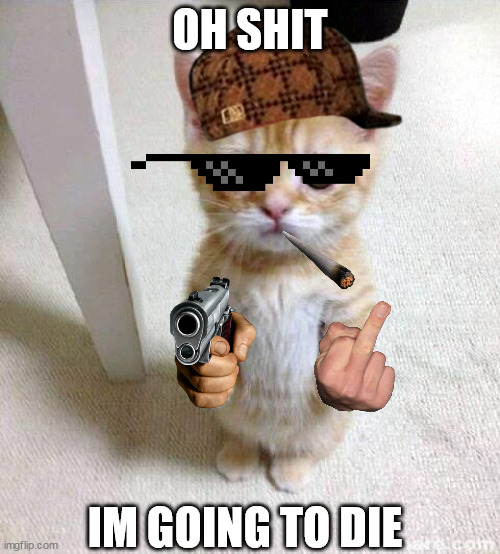 Cute Cat | OH SHIT; IM GOING TO DIE | image tagged in memes,cute cat | made w/ Imgflip meme maker