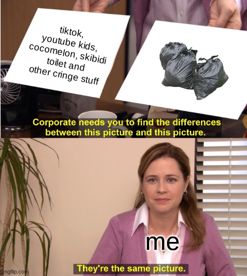 They're The Same Picture Meme | tiktok, youtube kids, cocomelon, skibidi toilet and other cringe stuff; me | image tagged in memes,they're the same picture,funny | made w/ Imgflip meme maker