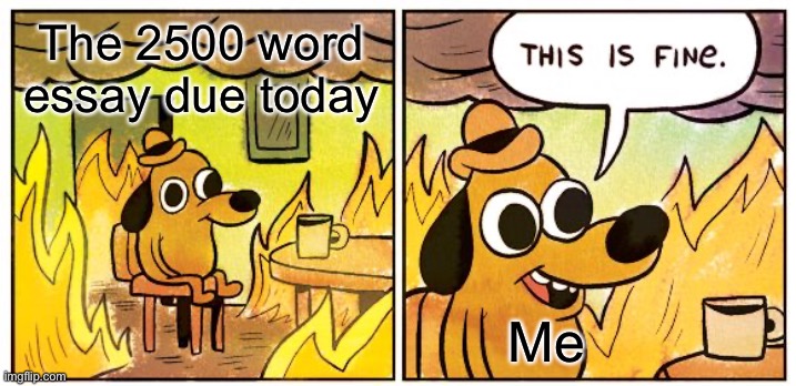 True story… | The 2500 word essay due today; Me | image tagged in memes,this is fine | made w/ Imgflip meme maker