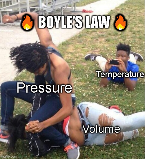 Gas laws | 🔥 BOYLE'S LAW 🔥; Temperature; Pressure; Volume | image tagged in guy recording a fight | made w/ Imgflip meme maker