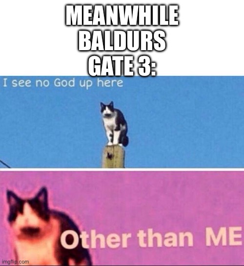 I see no god up here | MEANWHILE BALDURS GATE 3: | image tagged in i see no god up here | made w/ Imgflip meme maker