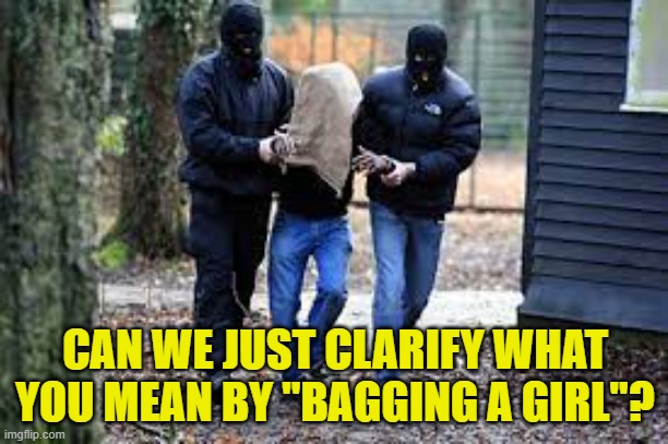Kidnapping | CAN WE JUST CLARIFY WHAT YOU MEAN BY "BAGGING A GIRL"? | image tagged in kidnapping | made w/ Imgflip meme maker