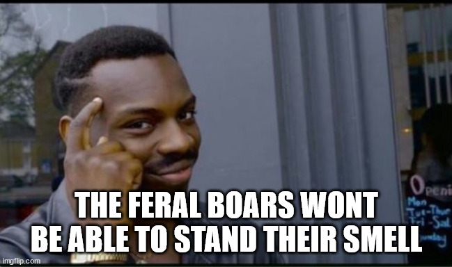 Thinking Black Man | THE FERAL BOARS WONT BE ABLE TO STAND THEIR SMELL | image tagged in thinking black man | made w/ Imgflip meme maker