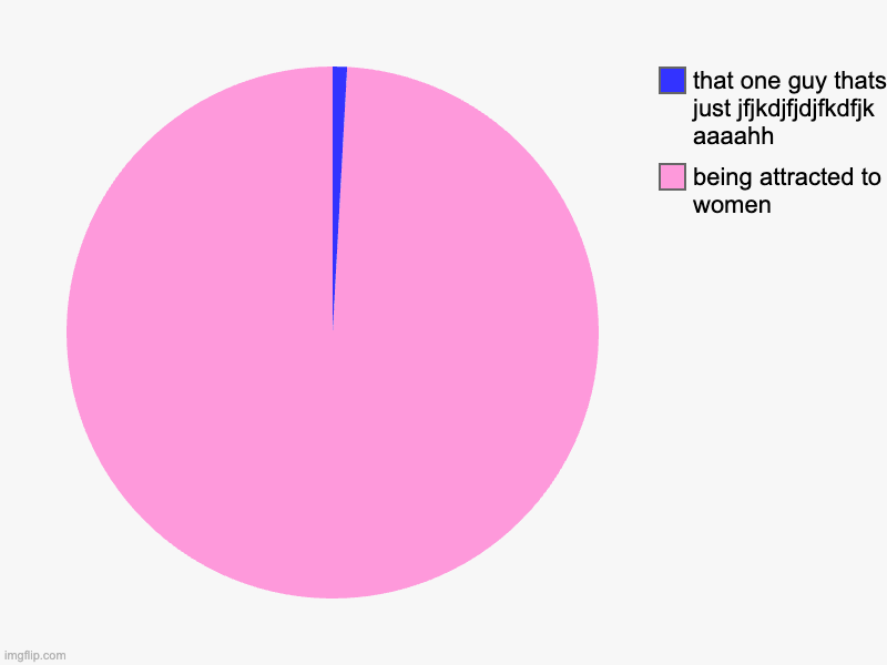 being attracted to women, that one guy thats just jfjkdjfjdjfkdfjk aaaahh | image tagged in charts,pie charts | made w/ Imgflip chart maker
