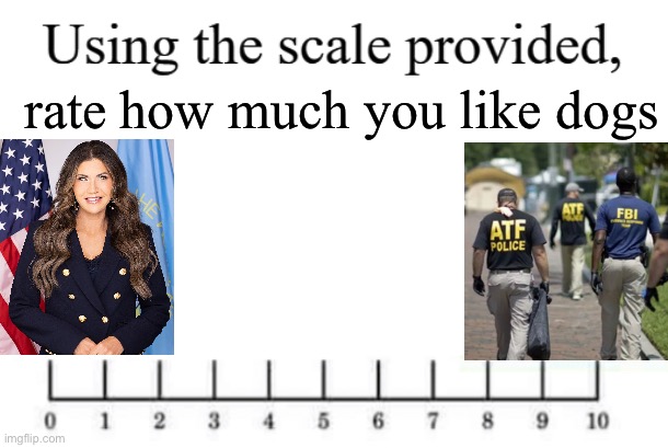 using the scale provided | rate how much you like dogs | image tagged in using the scale provided | made w/ Imgflip meme maker