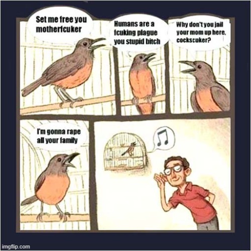 Captive Bird Song Translated ! | image tagged in birds,tweets,translated,dark humour | made w/ Imgflip meme maker