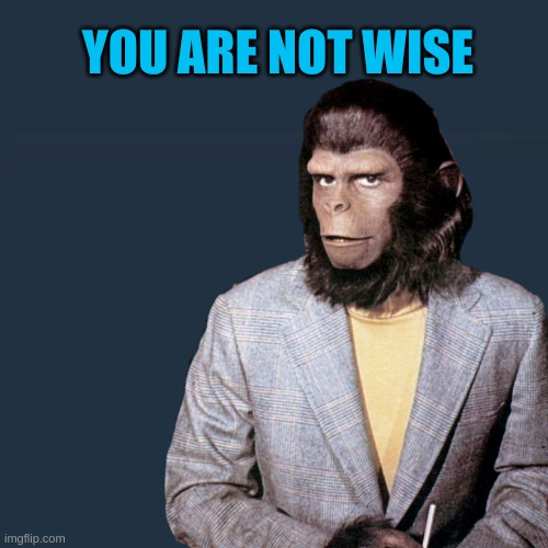 YOU ARE NOT WISE | image tagged in roddy mcdowell planet | made w/ Imgflip meme maker