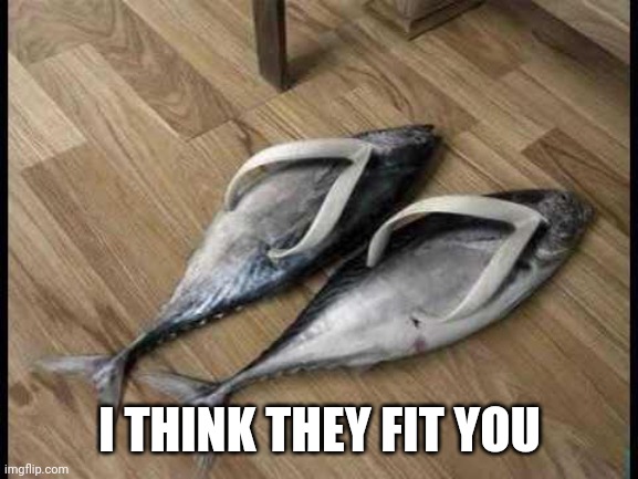 Fish Flops | I THINK THEY FIT YOU | image tagged in fish flops | made w/ Imgflip meme maker