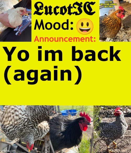 . | 😃; Yo im back 
(again) | image tagged in lucotic's cocks announcement template | made w/ Imgflip meme maker