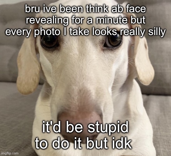 prolly wont cuz yall dont deserve my face but still | bru ive been think ab face revealing for a minute but every photo I take looks really silly; it'd be stupid to do it but idk | image tagged in homophobic dog | made w/ Imgflip meme maker