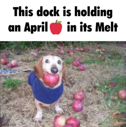 image tagged in this dock is holding an april in its melt | made w/ Imgflip meme maker