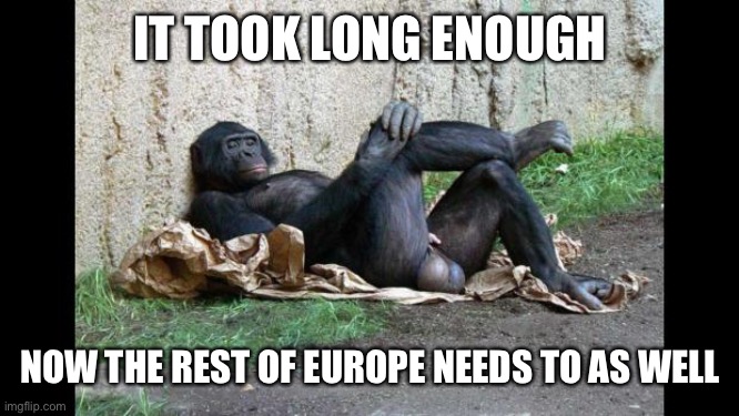 IT TOOK LONG ENOUGH NOW THE REST OF EUROPE NEEDS TO AS WELL | image tagged in big balls gorilla | made w/ Imgflip meme maker