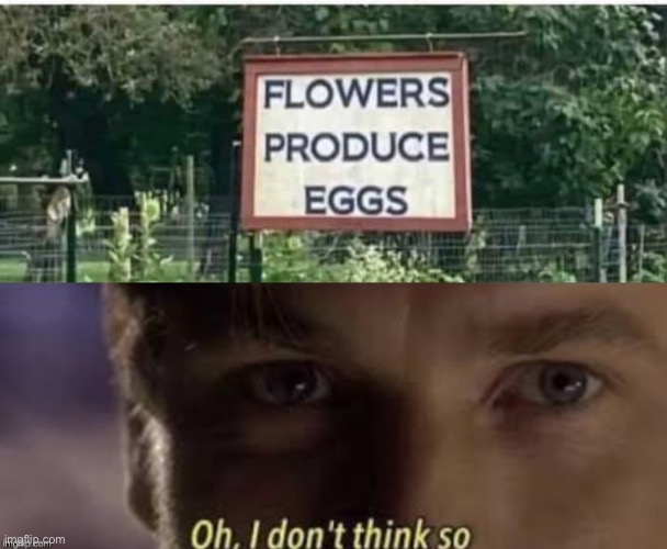 Flowers produce eggs | image tagged in oh i don't think so,flowers,eggs | made w/ Imgflip meme maker