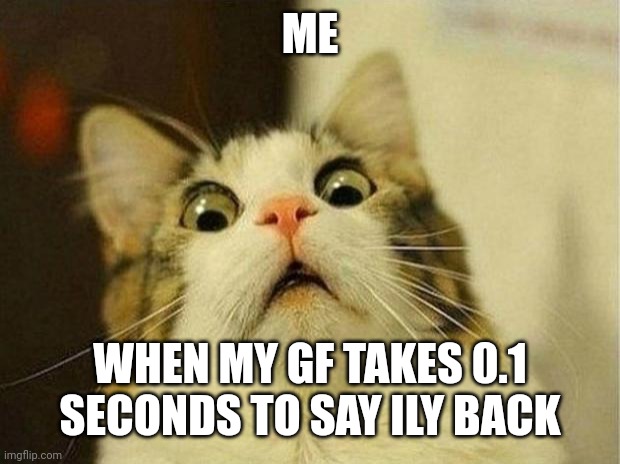 Scared Cat | ME; WHEN MY GF TAKES 0.1 SECONDS TO SAY ILY BACK | image tagged in memes,scared cat | made w/ Imgflip meme maker