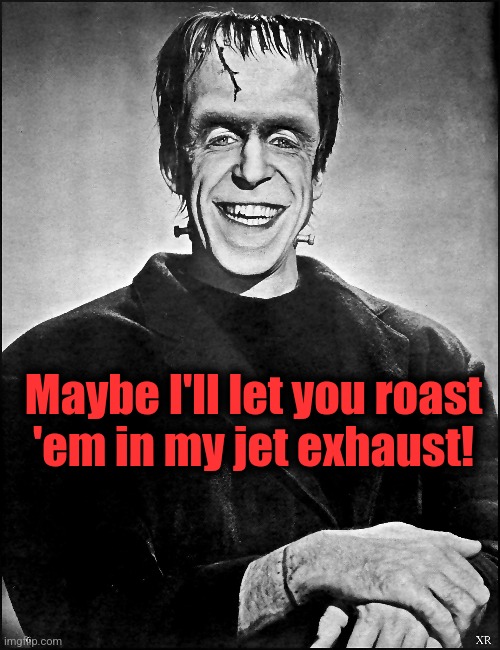 Maybe I'll let you roast
'em in my jet exhaust! | made w/ Imgflip meme maker