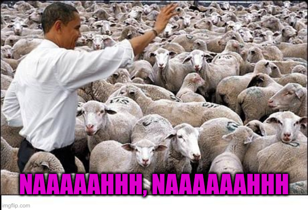 obama and his voters | NAAAAAHHH, NAAAAAAHHH | image tagged in obama and his voters | made w/ Imgflip meme maker