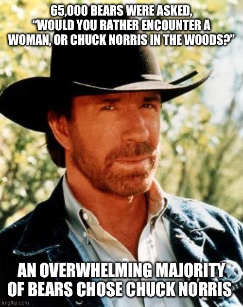 Chuck Norris | 65,000 BEARS WERE ASKED, “WOULD YOU RATHER ENCOUNTER A WOMAN, OR CHUCK NORRIS IN THE WOODS?”; AN OVERWHELMING MAJORITY OF BEARS CHOSE CHUCK NORRIS | image tagged in memes,chuck norris | made w/ Imgflip meme maker