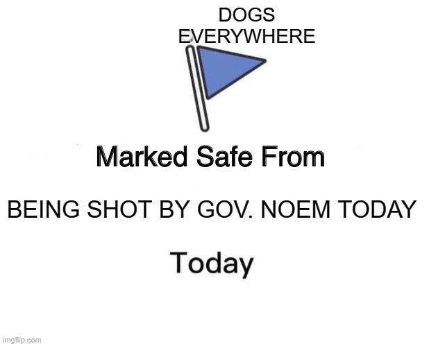 Marked Safe From Meme | DOGS EVERYWHERE; BEING SHOT BY GOV. NOEM TODAY | image tagged in memes,marked safe from | made w/ Imgflip meme maker