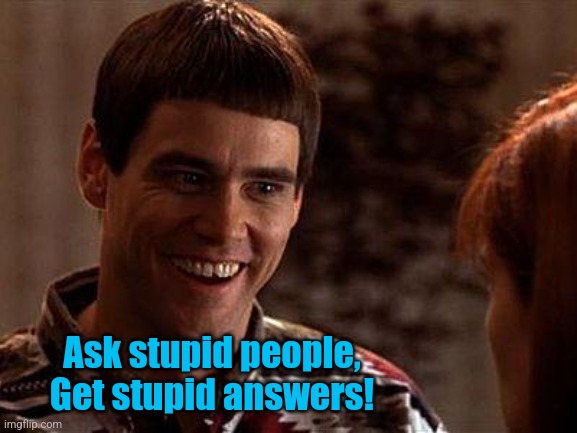 Ask stupid people,
Get stupid answers! | image tagged in dumb and dumber | made w/ Imgflip meme maker