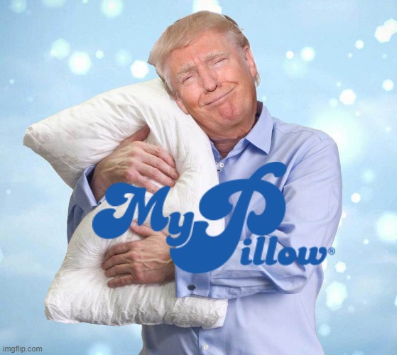 image tagged in my pillow guy | made w/ Imgflip meme maker
