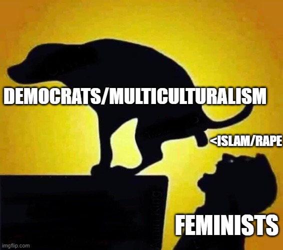 DEMOCRATS/MULTICULTURALISM FEMINISTS <ISLAM/RAPE | image tagged in dog shit in mouth | made w/ Imgflip meme maker