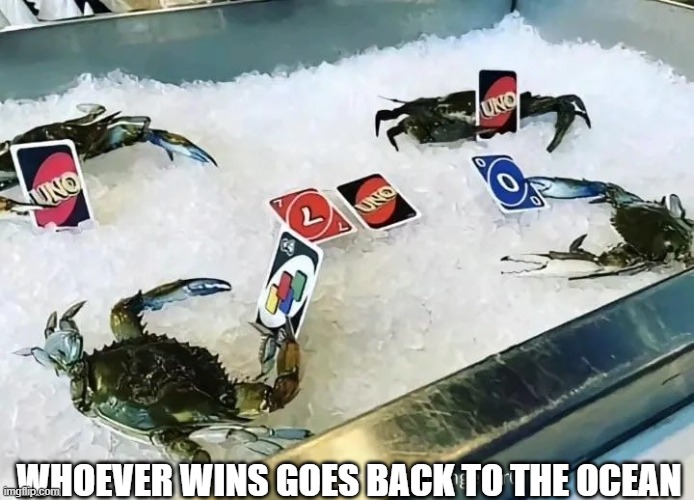 Crabs Playing UNO | WHOEVER WINS GOES BACK TO THE OCEAN | image tagged in crabs playing uno | made w/ Imgflip meme maker