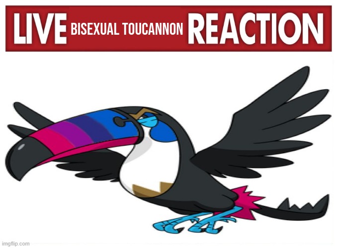 Have a bisexual toucannon | image tagged in live bisexual toucannon reaction | made w/ Imgflip meme maker