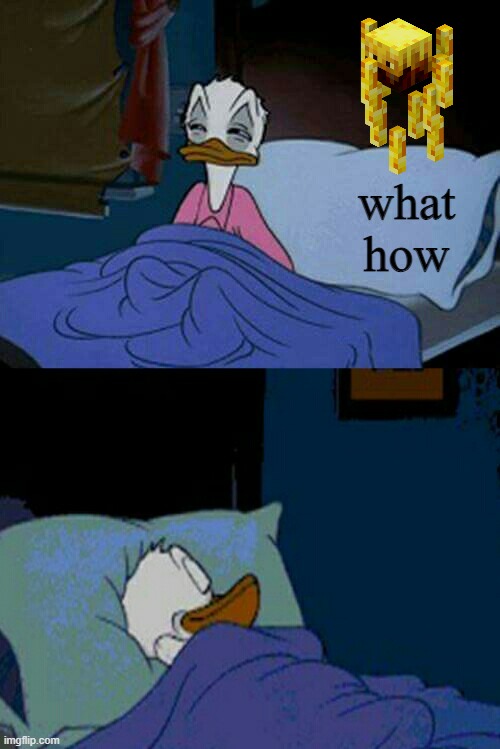 sleepy donald duck in bed | what how | image tagged in sleepy donald duck in bed | made w/ Imgflip meme maker