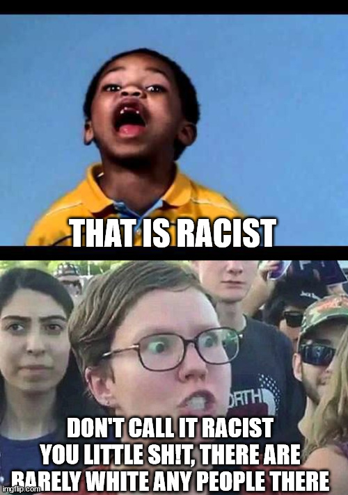 THAT IS RACIST DON'T CALL IT RACIST YOU LITTLE SH!T, THERE ARE BARELY WHITE ANY PEOPLE THERE | image tagged in that's racist 2,triggered liberal | made w/ Imgflip meme maker