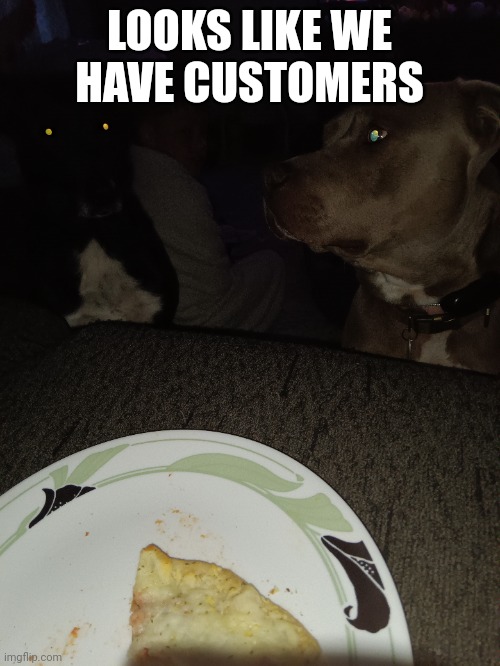 "Sorry, no pets allowed." | LOOKS LIKE WE HAVE CUSTOMERS | image tagged in dogs,animals,tag | made w/ Imgflip meme maker