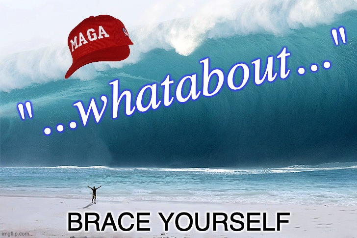 tsunami | "...whatabout..." BRACE YOURSELF | image tagged in tsunami | made w/ Imgflip meme maker