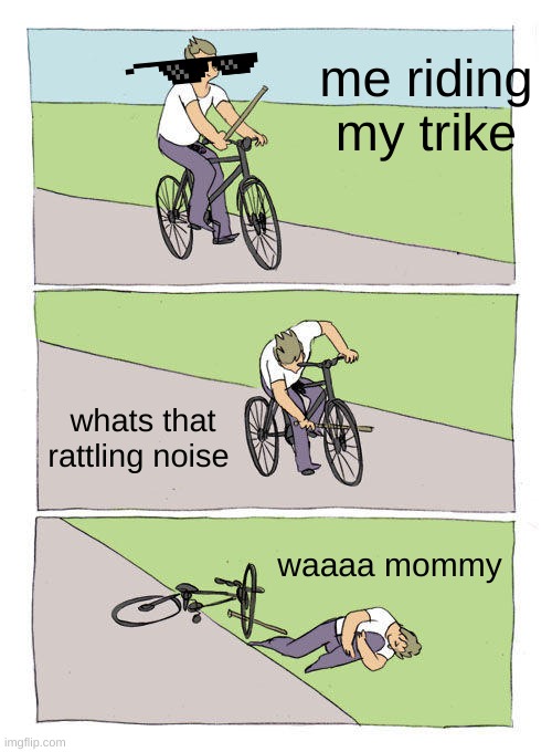 Bike Fall | me riding my trike; whats that rattling noise; waaaa mommy | image tagged in memes,bike fall | made w/ Imgflip meme maker